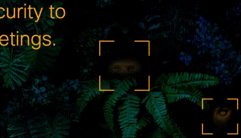 gif preset